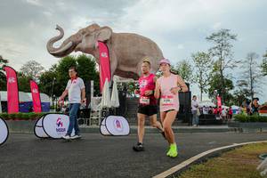 BIB: 
                            <button type="button" onclick="openModal(26528581)" class="btn btn-primary btn-sm float-right btn-popup" data-toggle="modal" data-target=".modal-high-quality">
                        <i class="fas fa-shopping-cart"></i> Add to Cart
                    </button>
                                            <button type="button" onclick="isThisMe(26528581, true)" class="btn btn-success btn-sm float-right btn-popup btn-isme hidden" data-toggle="tooltip" data-placement="bottom" title="นี่คือรูปของคุณใช่ไหม คลิกที่นี่เพื่อเอาเข้าอัลบั้ม">
                        <i class="fas fa-plus"></i> Add to album
                    </button>
                    <button type="button" onclick="isThisMe(26528581, false)" class="btn btn-warning btn-sm float-right btn-popup btn-isnotme hidden">
                        <i class="fas fa-ban"></i> Remove from album
                    </button>